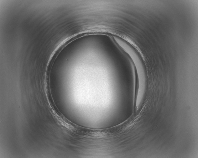 X0000054361085200508262308