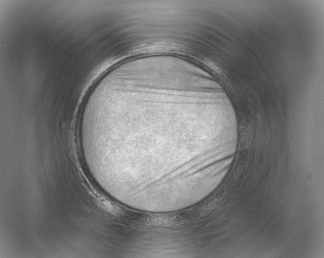 X0000054361086200508262308
