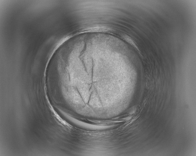 X0000054361087200508262308
