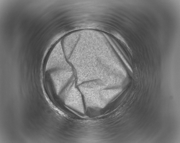 X0000054361088200508262308