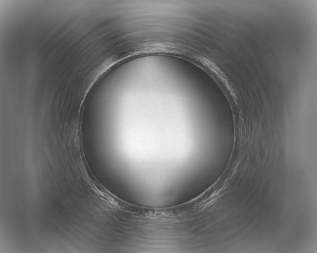 X0000054361089200508262308
