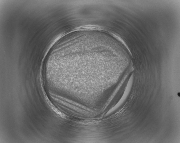 X0000054361091200508262308