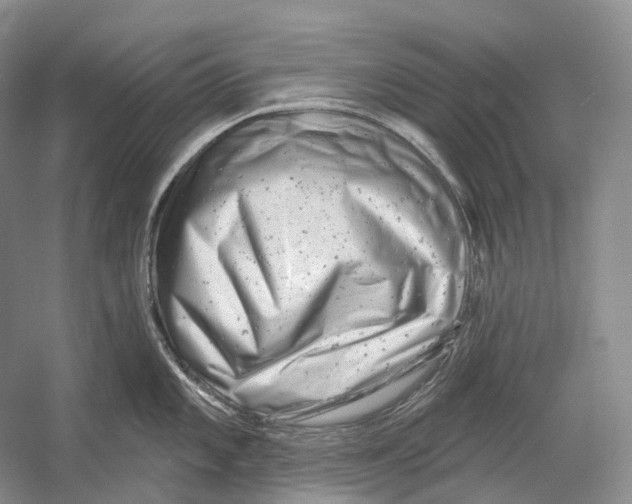 X0000054361101200508262308