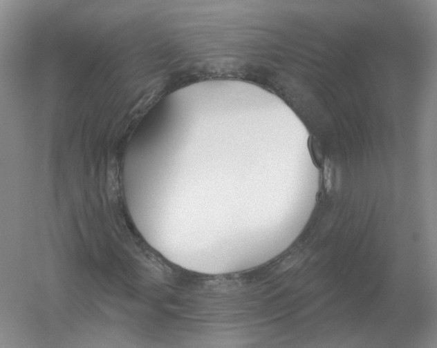 X0000054361107200508262307