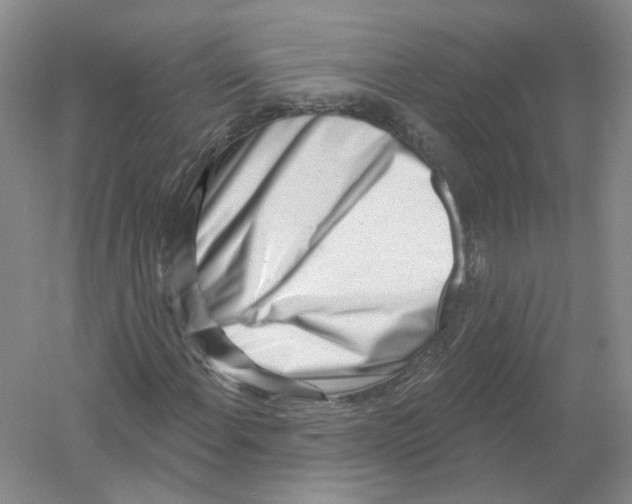 X0000054361108200508262307