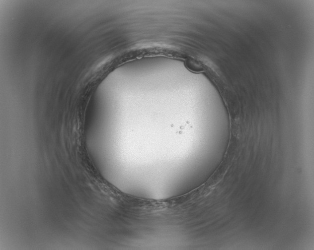 X0000054361111200508262307