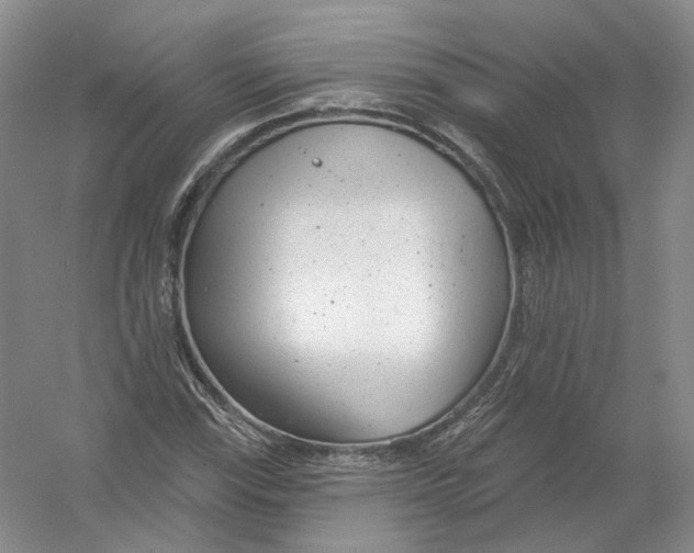 X0000054361115200508262307