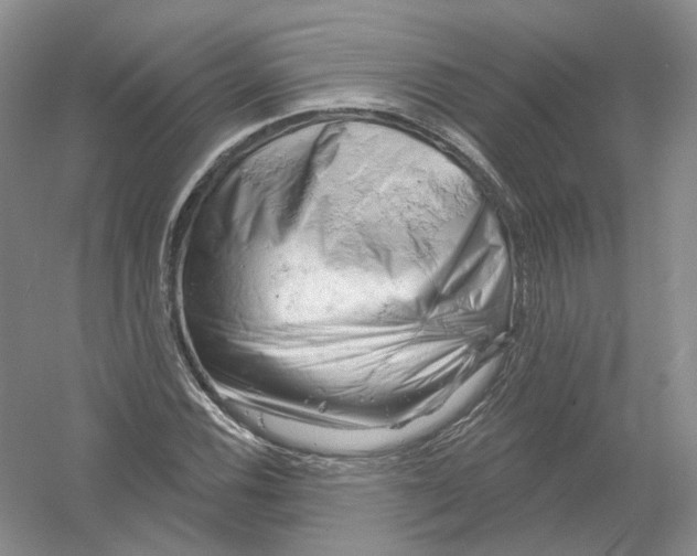 X0000054361116200508262307