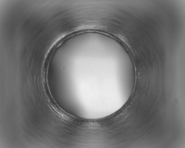 X0000054361119200508262307