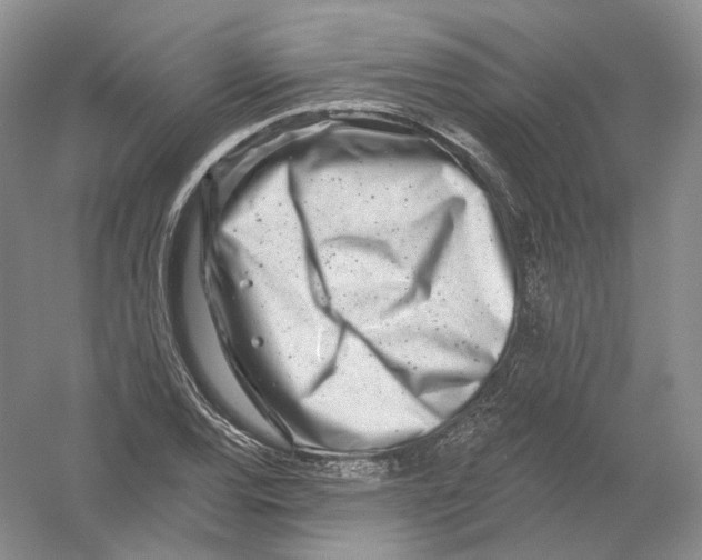 X0000054361120200508262307