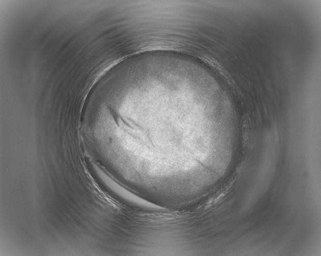 X0000054361121200508262307