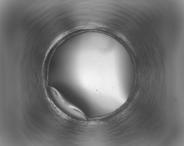 X0000054361122200508262307