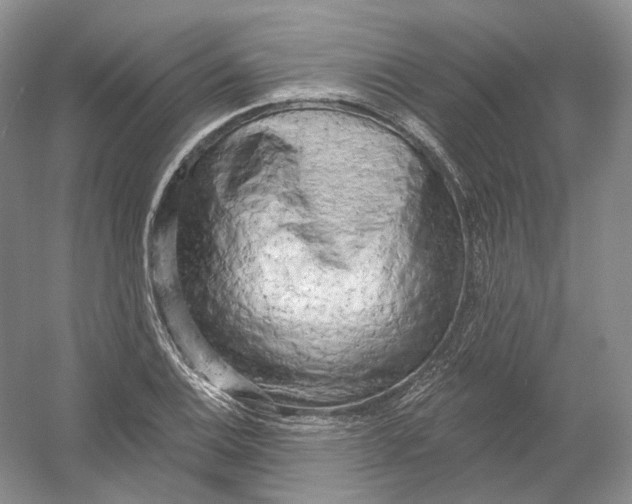 X0000054361124200508262307