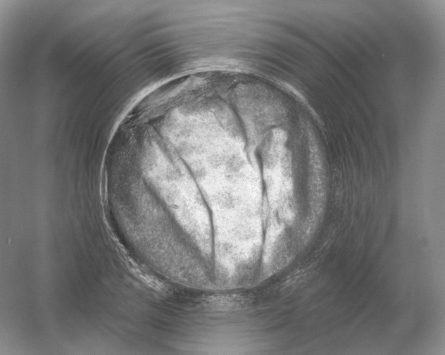 X0000054361125200508262307