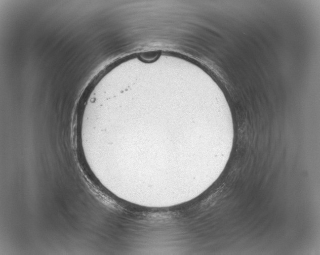X0000054361126200508262307