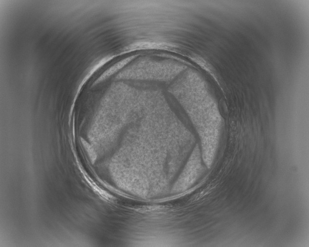 X0000054361127200508262307