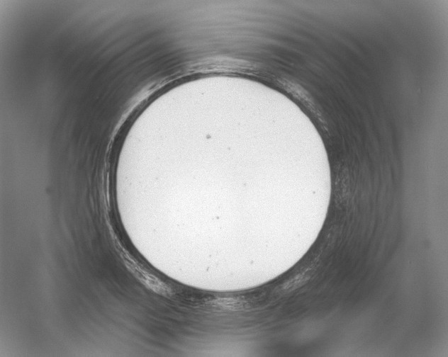 X0000054361130200508262308