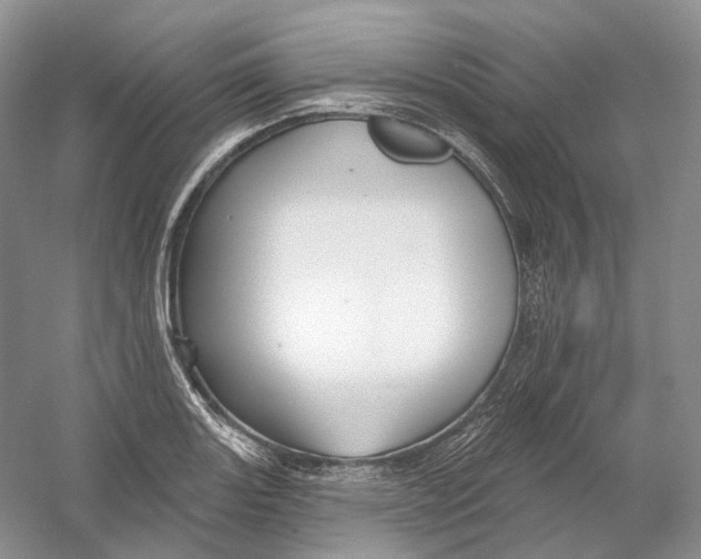 X0000054361131200508262308