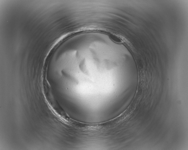 X0000054361134200508262308