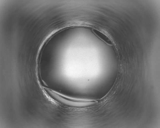 X0000054361136200508262308