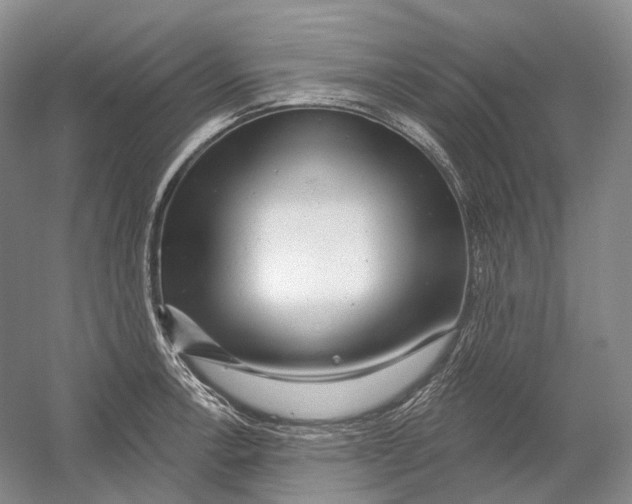 X0000054361138200508262308