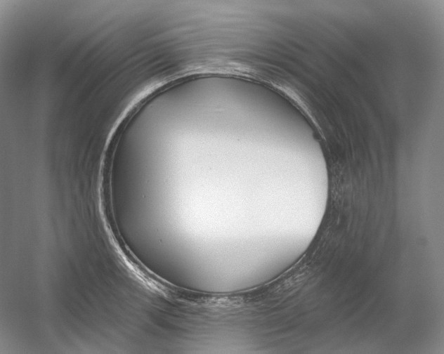 X0000054361139200508262308