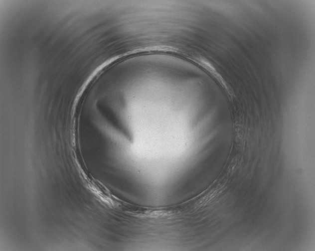 X0000054361140200508262308