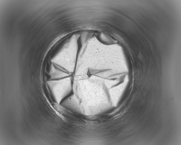 X0000054361141200508262308