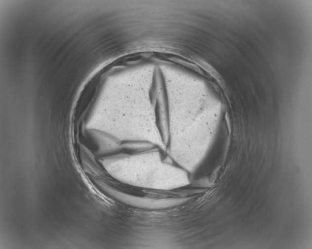 X0000054361144200508262308