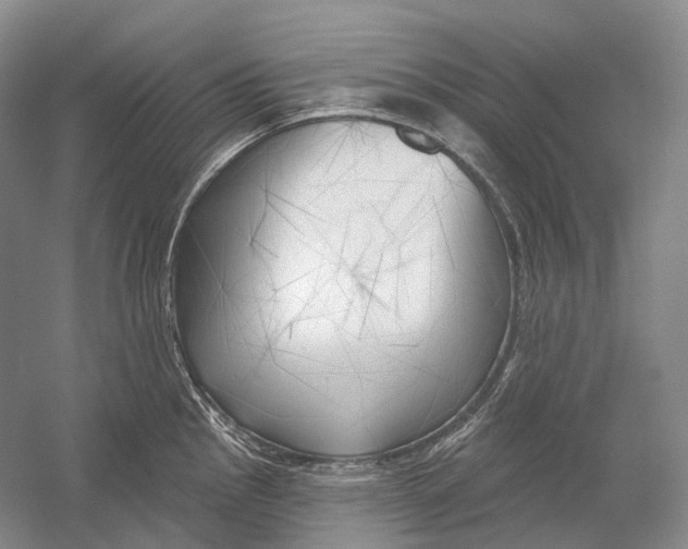 X0000054361145200508262308