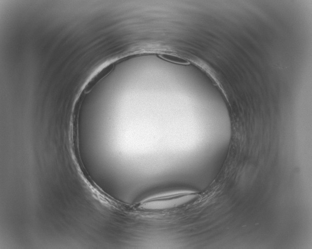X0000054361147200508262308