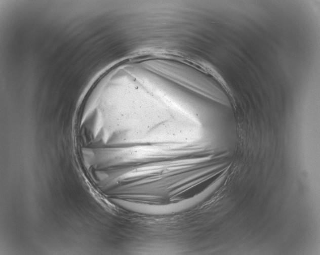 X0000054361148200508262308