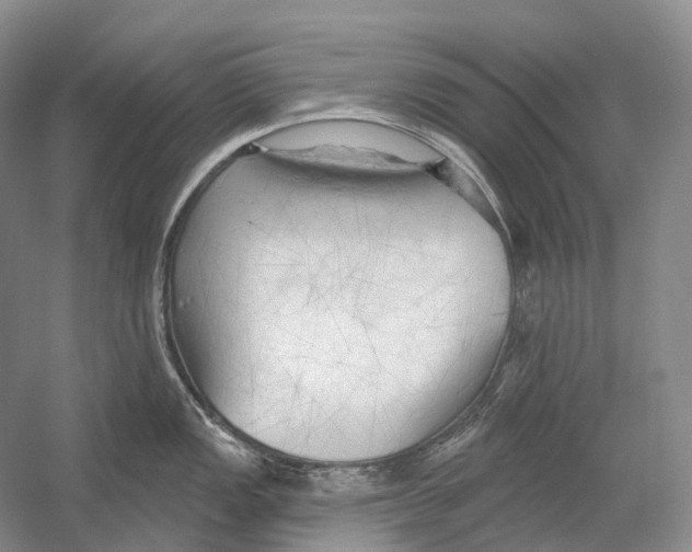 X0000054361149200508262308