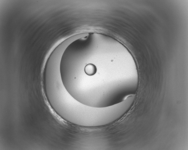 X0000054361152200508262308