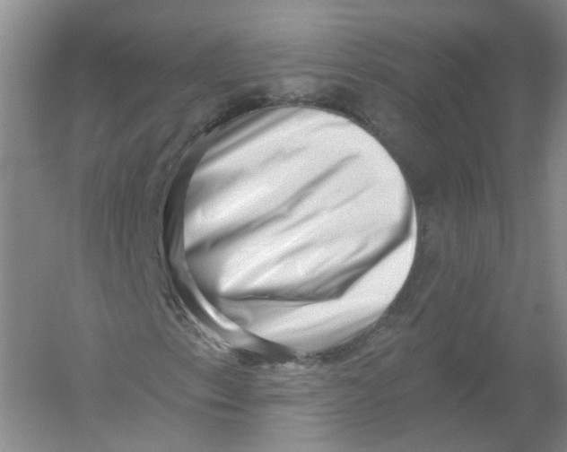 X0000054361153200508262307
