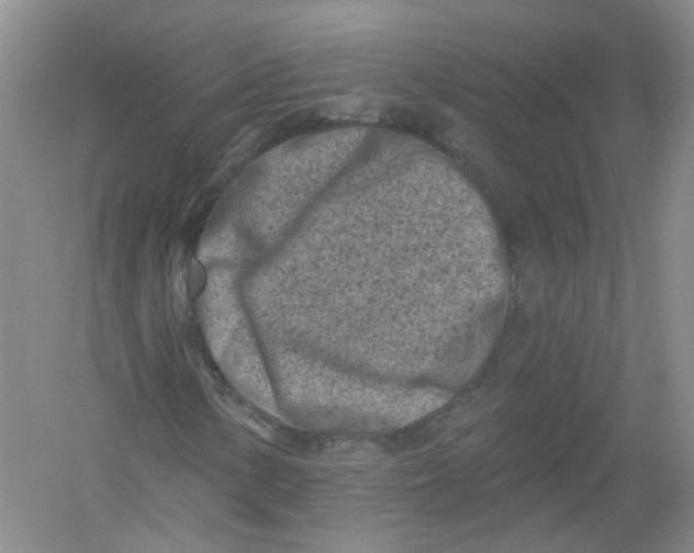 X0000054361154200508262307