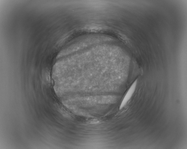 X0000054361155200508262307