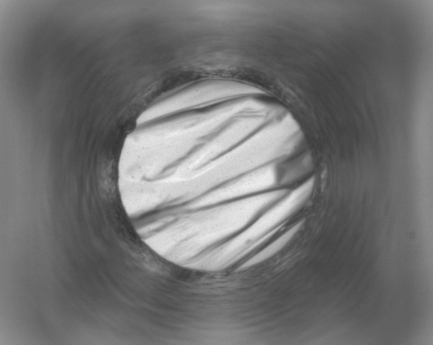 X0000054361156200508262307