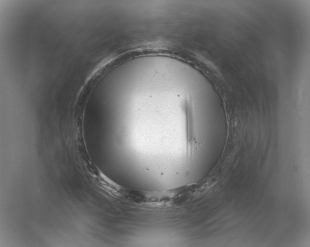 X0000054361160200508262307