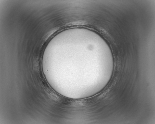X0000054361162200508262307