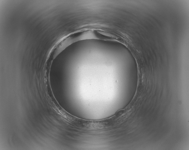 X0000054361164200508262307
