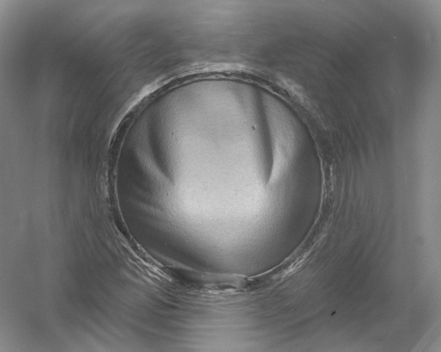 X0000054361165200508262307