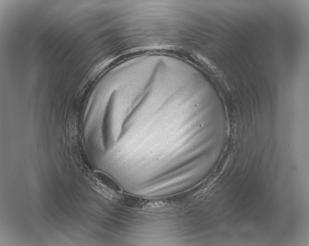 X0000054361169200508262307