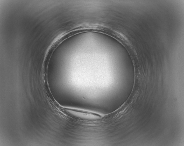 X0000054361172200508262307