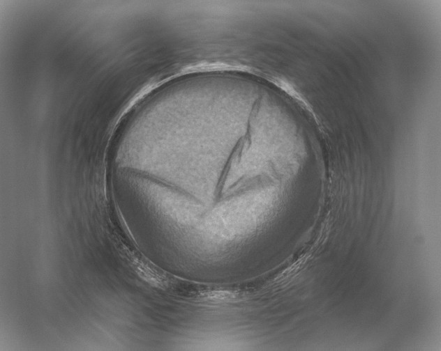 X0000054361173200508262307