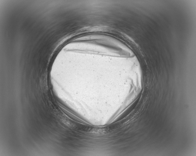 X0000054361174200508262307