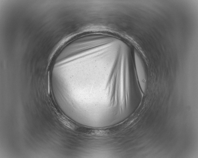 X0000054361175200508262307