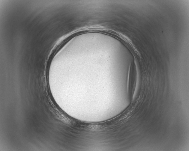 X0000054361176200508262307