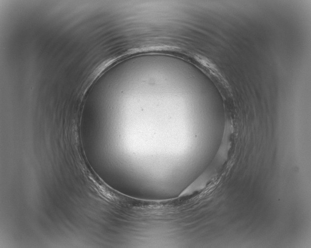 X0000054361177200508262307