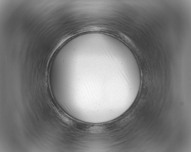 X0000054361178200508262307